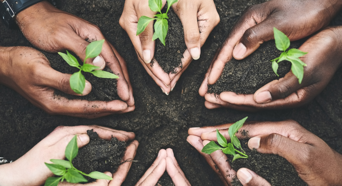 environnement et développement durable