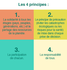 le développement durable définition