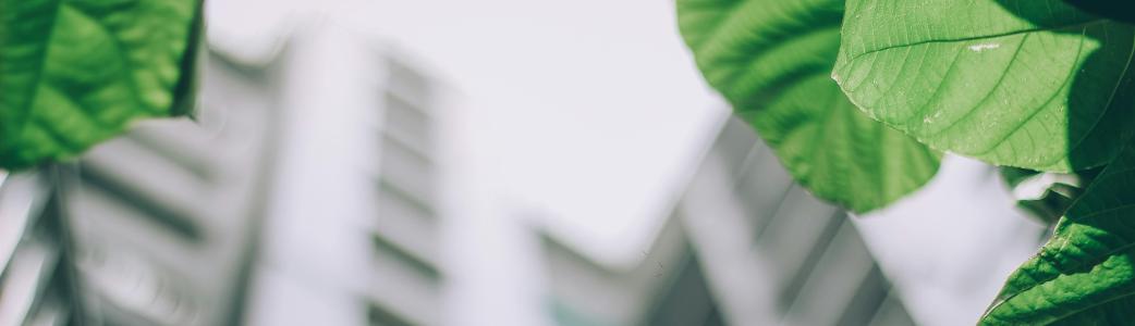 développement durable et rse