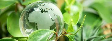 durabilité environnementale