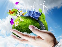 ecologie environnement developpement durable