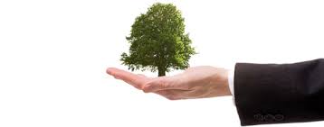 développement durable entreprise