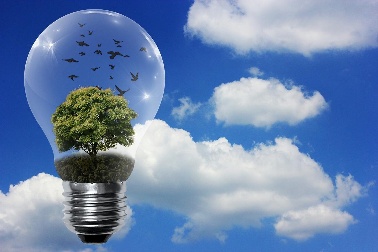 énergie renouvelable et développement durable pdf